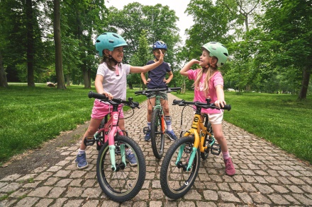 BAJKEE - dětské kolo 16" růžová (7)