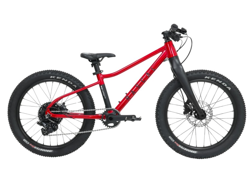 RASCAL BIKES - dětské kolo  20" Wild červená