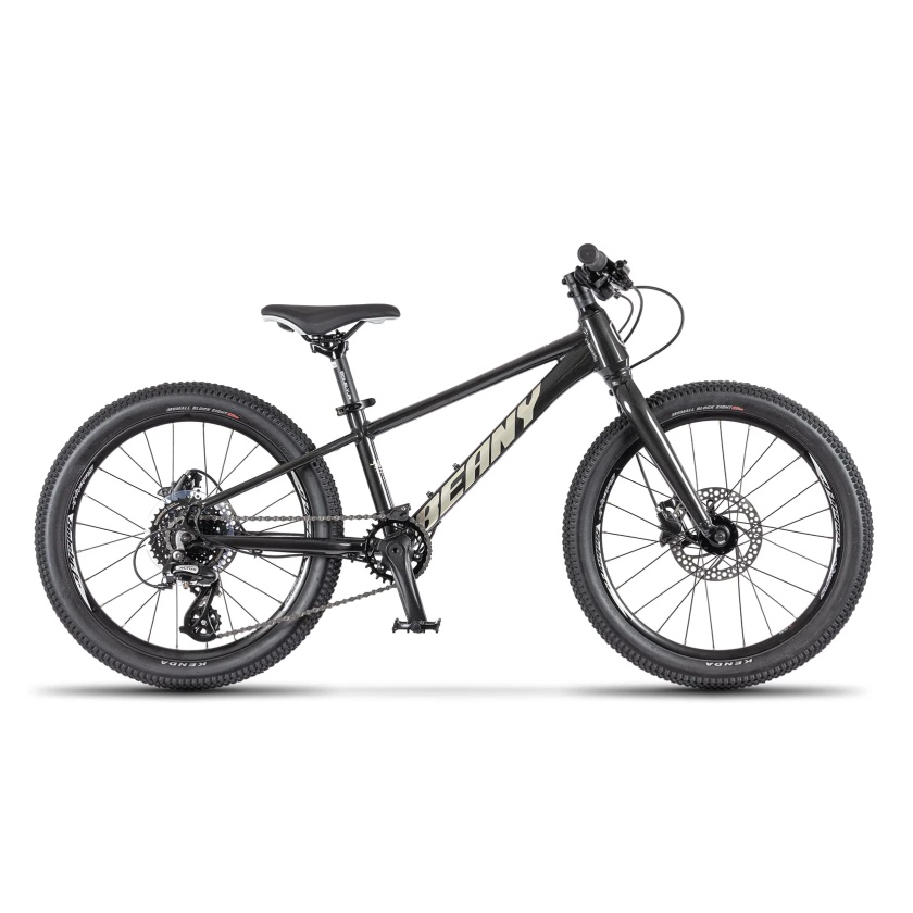 BEANY - dětské kolo BLASTER XC 20" černá