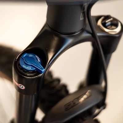FOCUS - WHISTLER 3.9 29" Diamond Black (6)