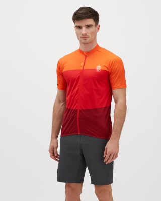 SILVINI - dres Turano Pro red-merlot (2)