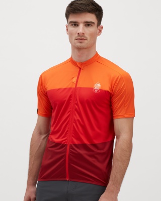 SILVINI - dres Turano Pro red-merlot (4)