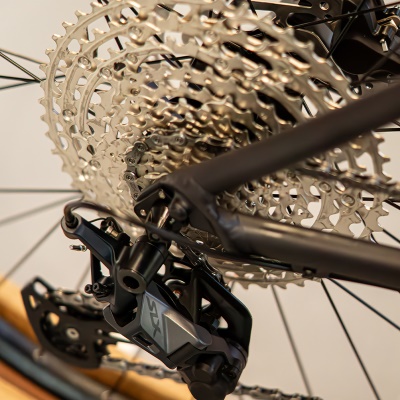 FOCUS - WHISTLER 3.9 29" Diamond Black (2)