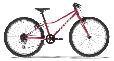 AMULET - dětské kolo 24" Tomcat Raspberry pearl/silver 2026