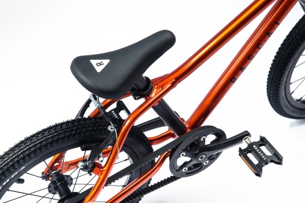 RASCAL BIKES - dětské kolo 16" modrá (4)