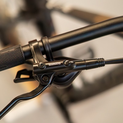 FOCUS - WHISTLER 3.9 29" Diamond Black (4)