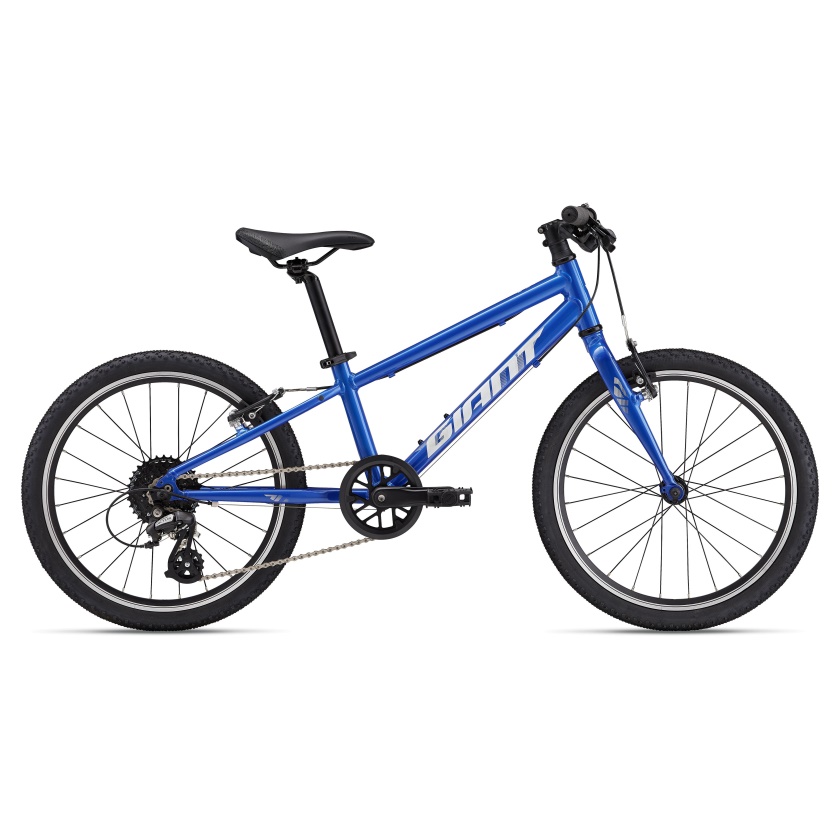 GIANT - dětské kolo ARX 20" modrá