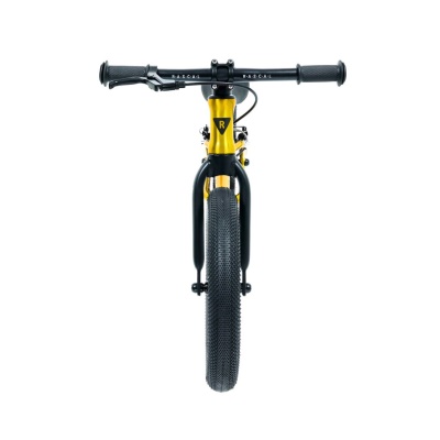 RASCAL BIKES - dětské odrážedlo Punk zlatá (3)